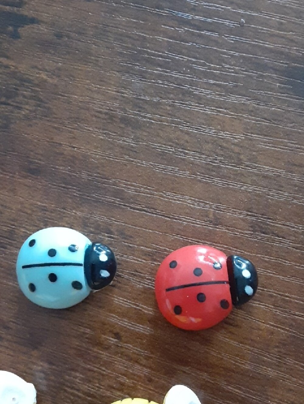 Bees, Ladybugs & Flowers Magnets - Picture 2 of 5